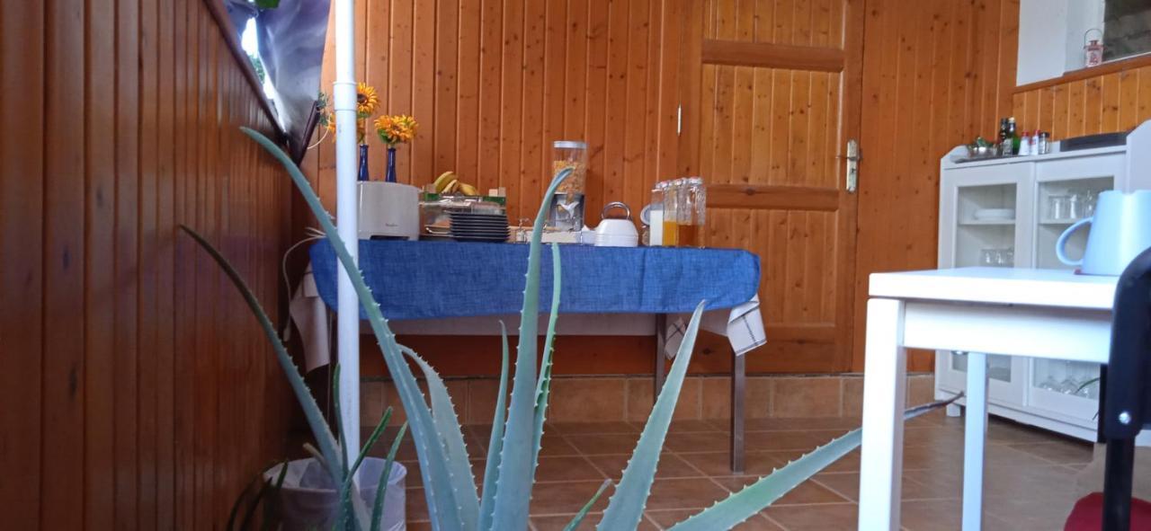 B&B Paraiso Del Sol Maspalomas  Ngoại thất bức ảnh